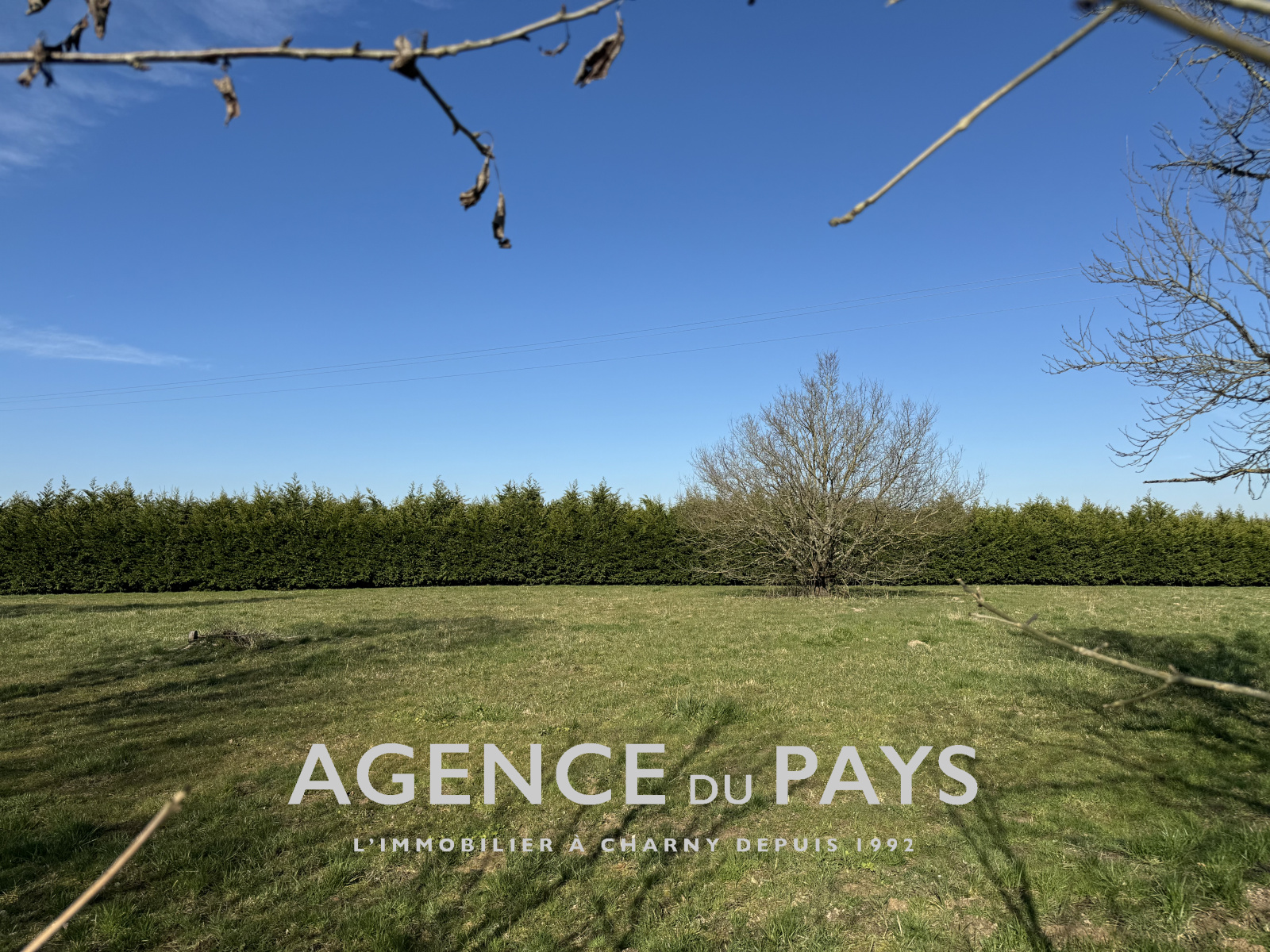 Image_26, Propriete, Melleroy, ref :V10004933