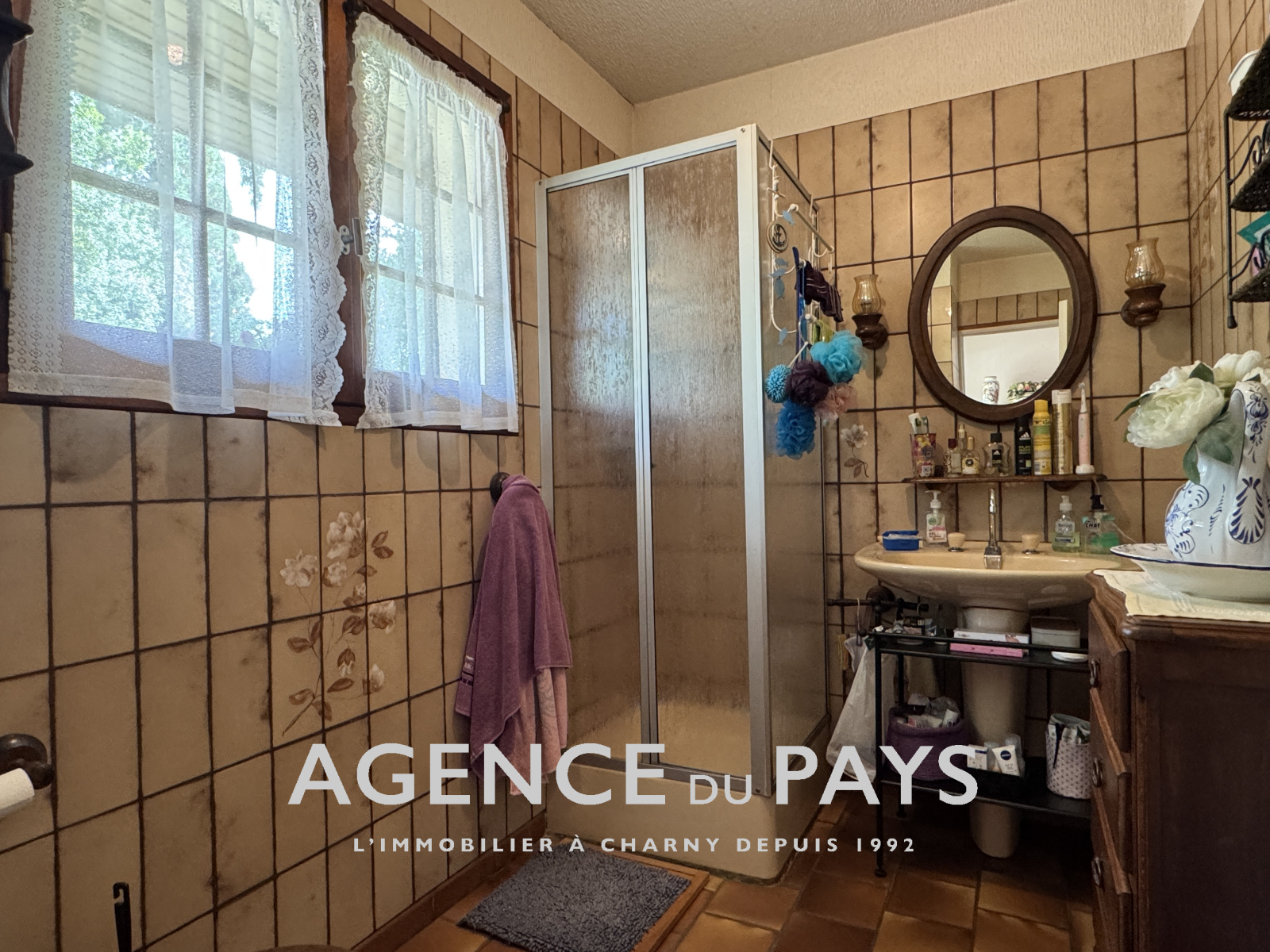 Image_11, Maison, Château-Renard, ref :V10004958