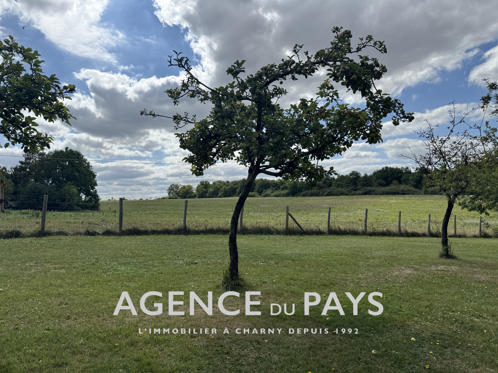 Image_18, Maison, Château-Renard, ref :V10004958