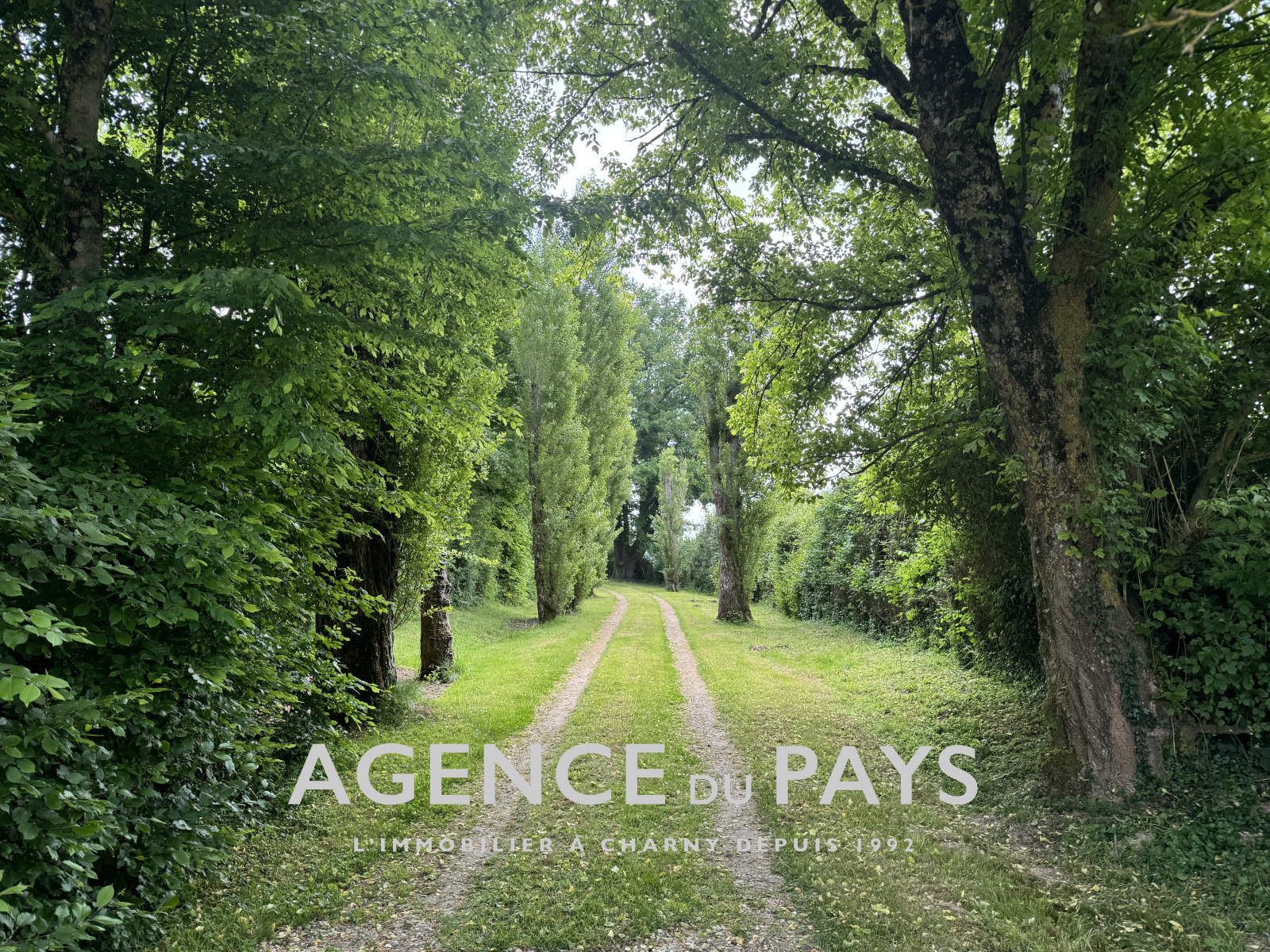 Image_3, Maison, Champcevrais, ref :V10004935