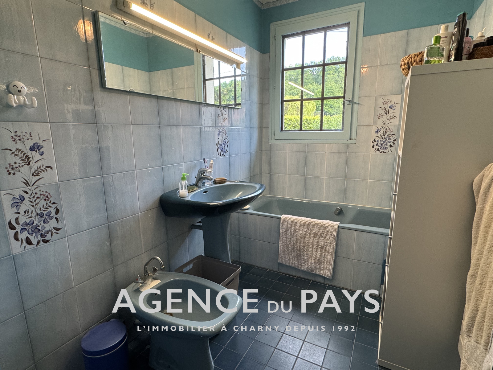 Image_11, Maison, Charny-Orée-de-Puisaye, ref :V10004903