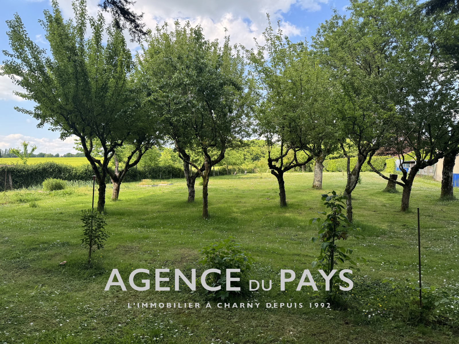 Image_8, Maison, Charny-Orée-de-Puisaye, ref :V10004903
