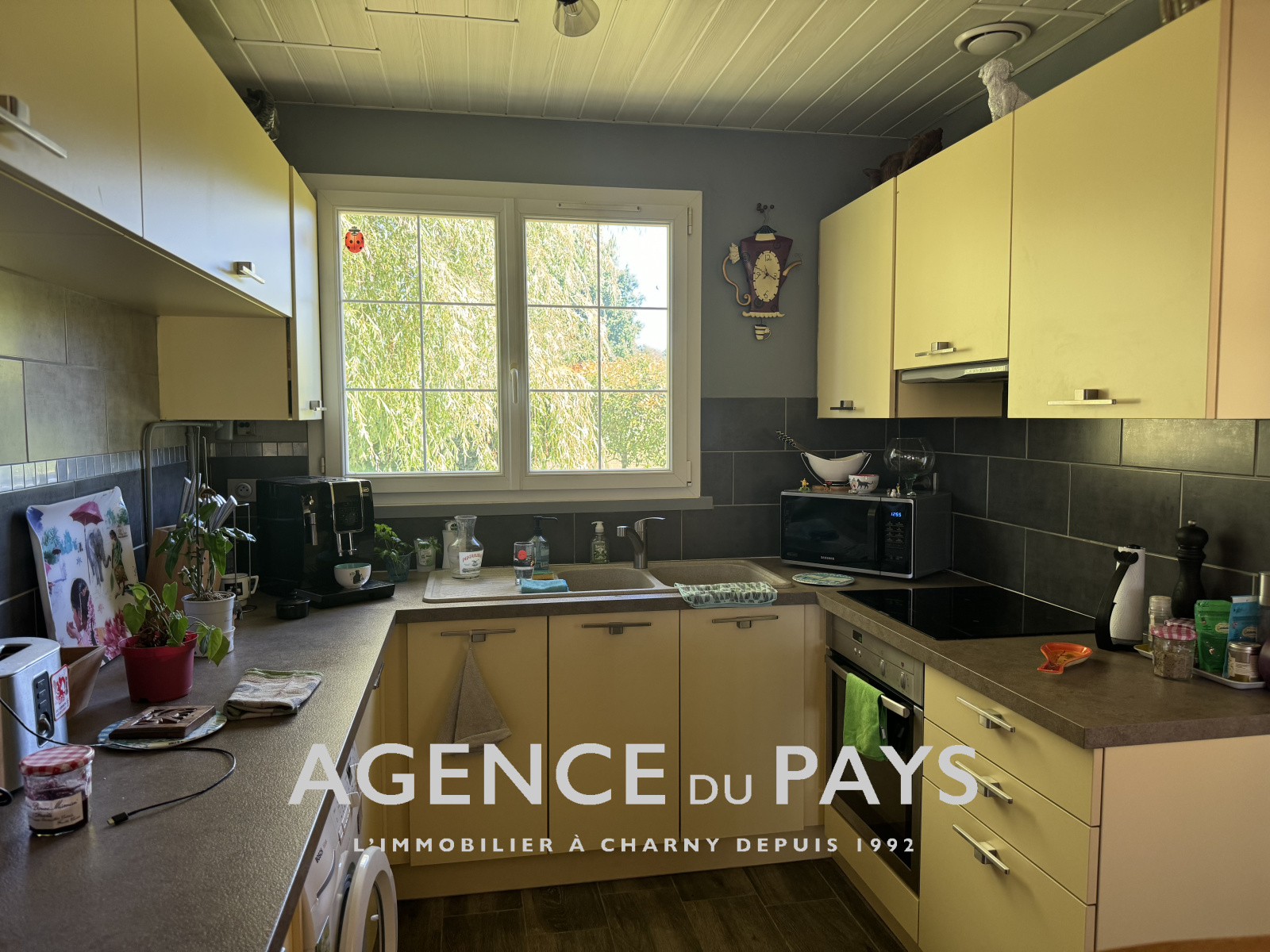 Image_6, Maison, Douchy-Montcorbon, ref :V10004937