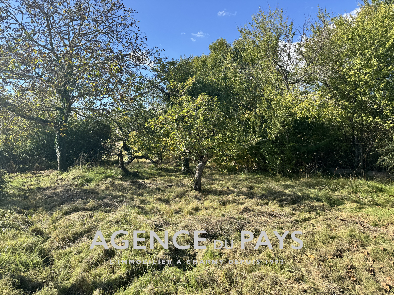 Image_9, Maison, Amilly, ref :V10004974