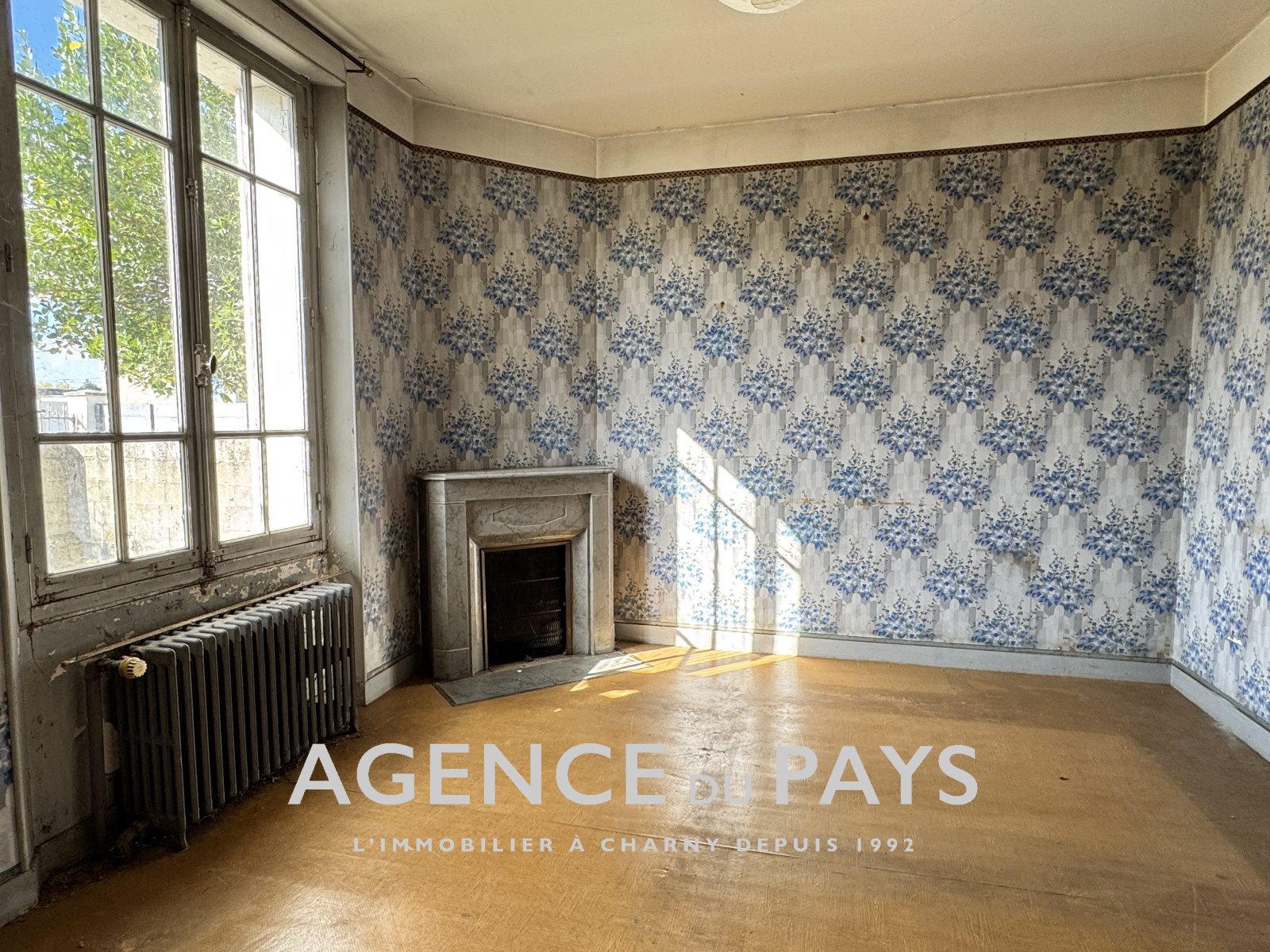 Image_3, Maison, Amilly, ref :V10004974