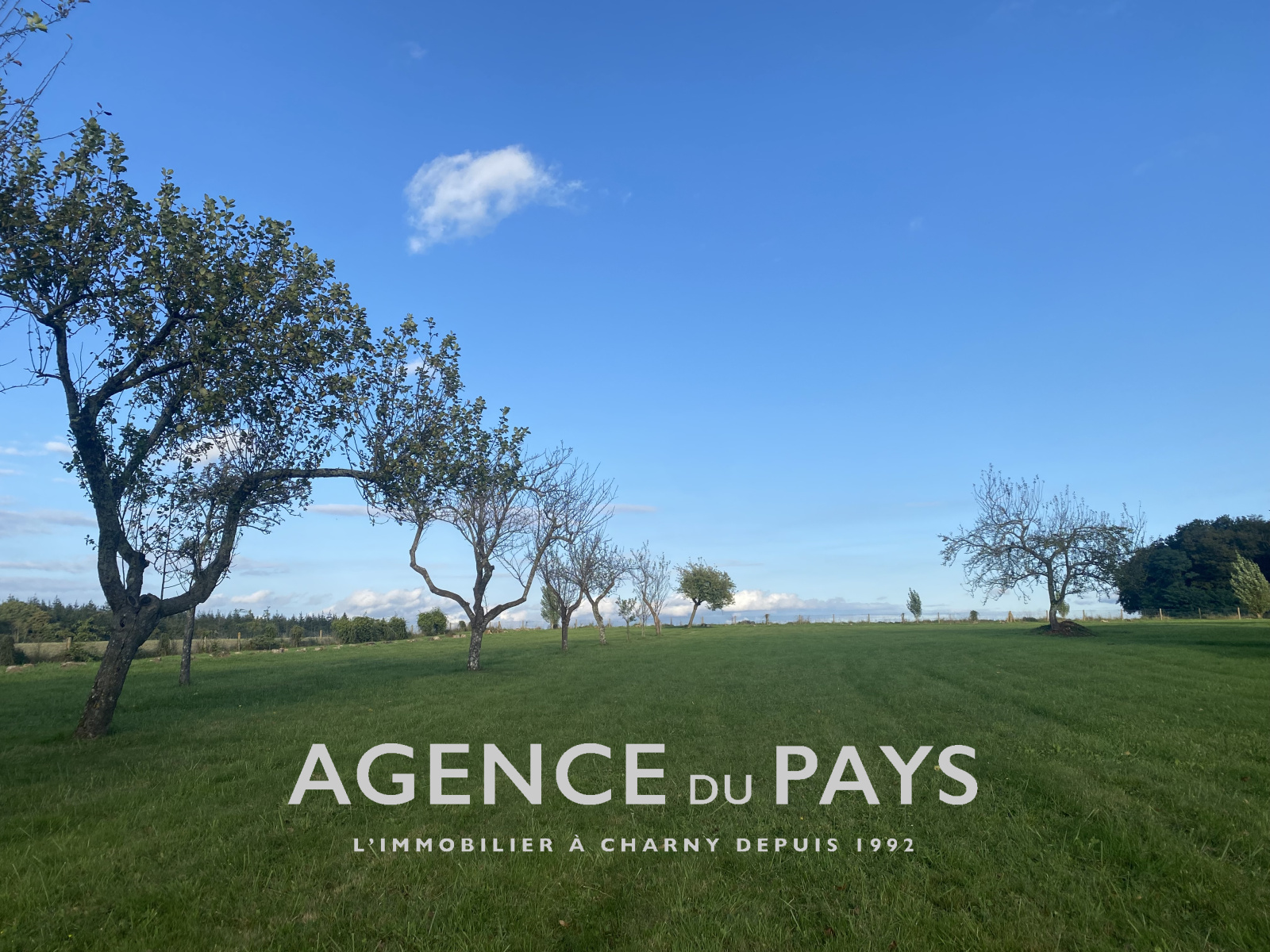 Image_3, Maison, Charny-Orée-de-Puisaye, ref :V10004887