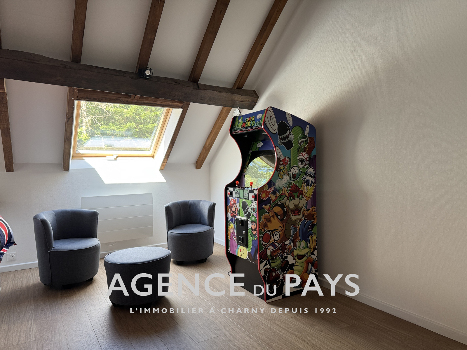 Image_19, Maison, Triguères, ref :V10004955