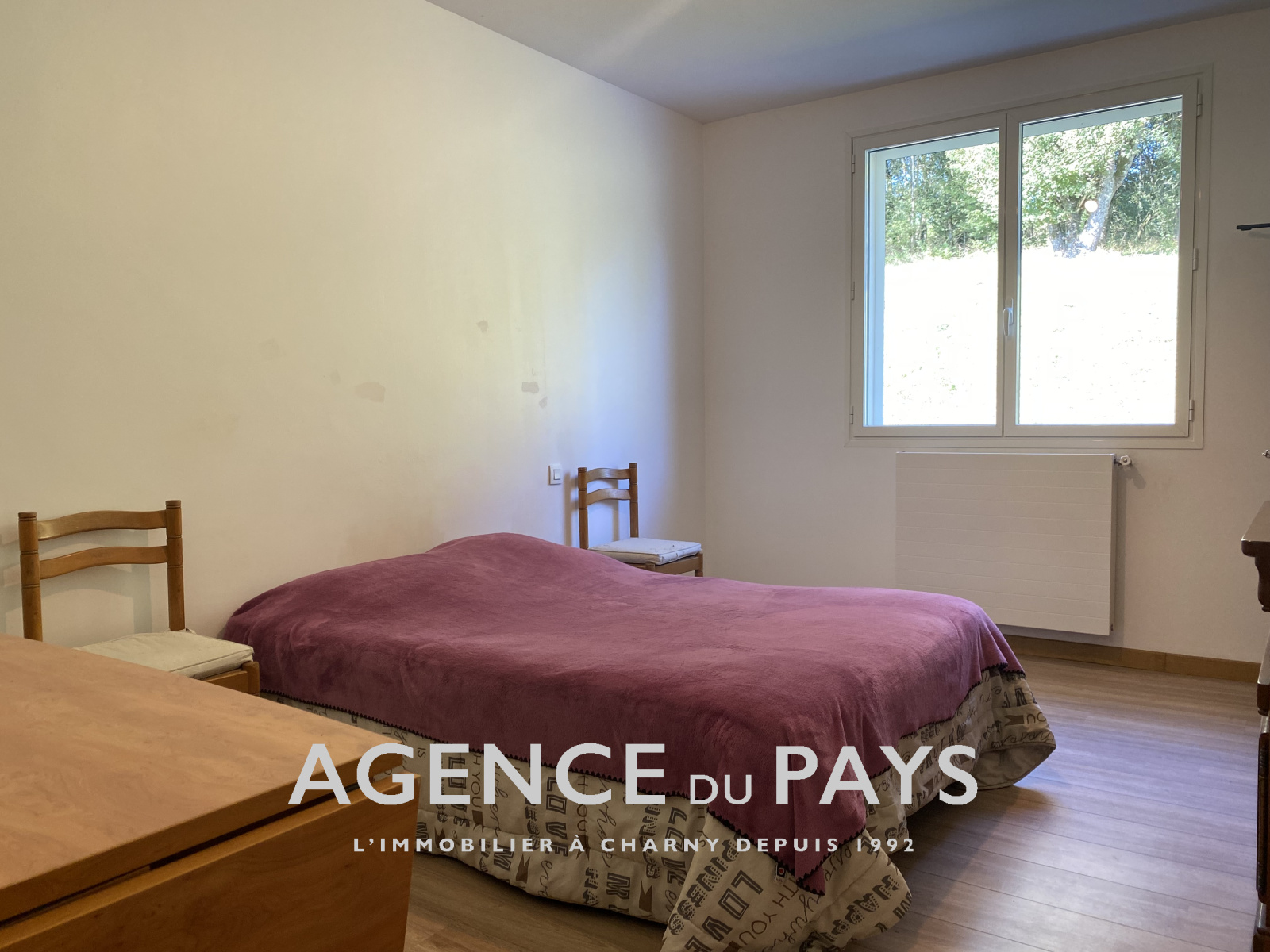 Image_13, Propriete, Charny-Orée-de-Puisaye, ref :V10004888