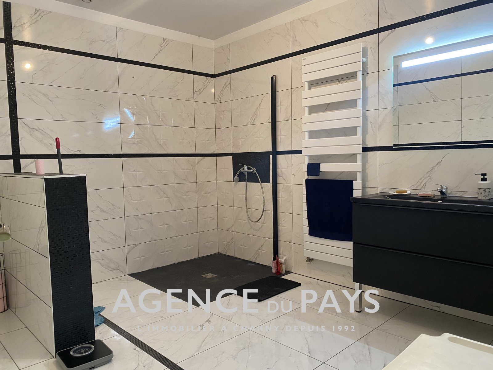 Image_10, Propriete, Charny-Orée-de-Puisaye, ref :V10004888