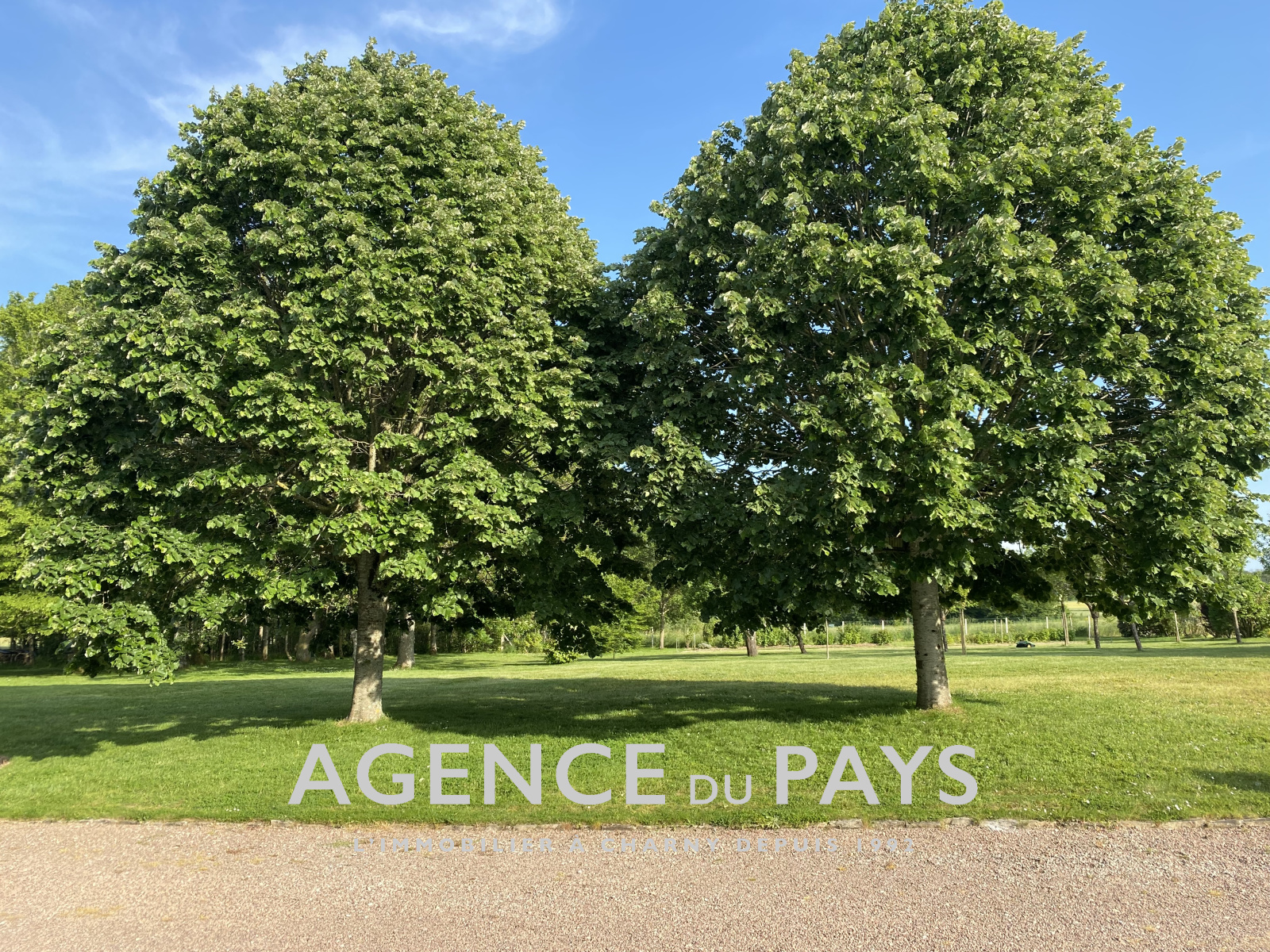 Image_27, Propriete, Charny-Orée-de-Puisaye, ref :V10004795