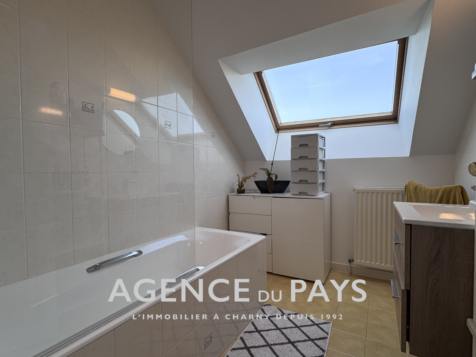 Image_23, Propriete, Charny-Orée-de-Puisaye, ref :V10004795