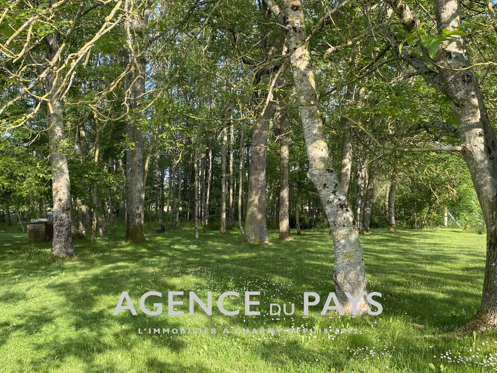 Image_4, Propriete, Charny-Orée-de-Puisaye, ref :V10004795