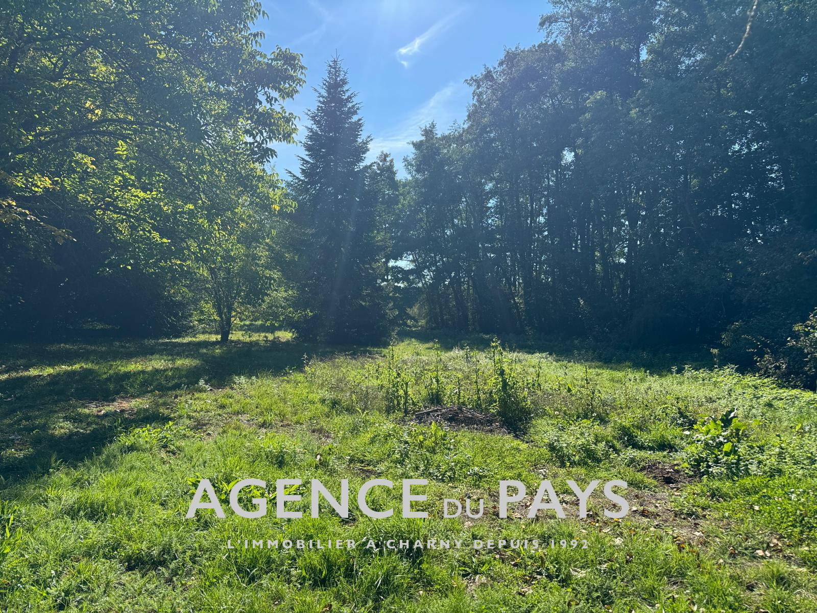 Image_2, Maison, Charny-Orée-de-Puisaye, ref :V10004970