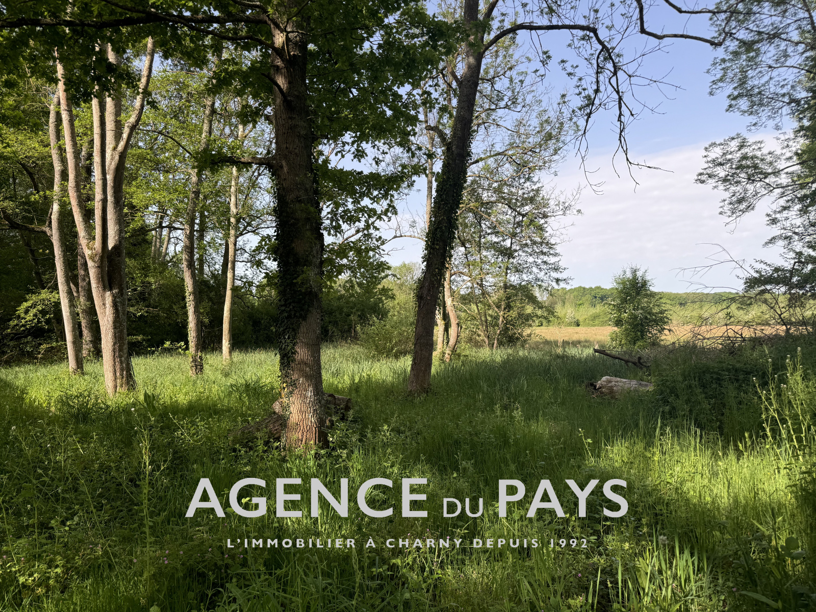 Image_3, Maison, Charny-Orée-de-Puisaye, ref :V10004936