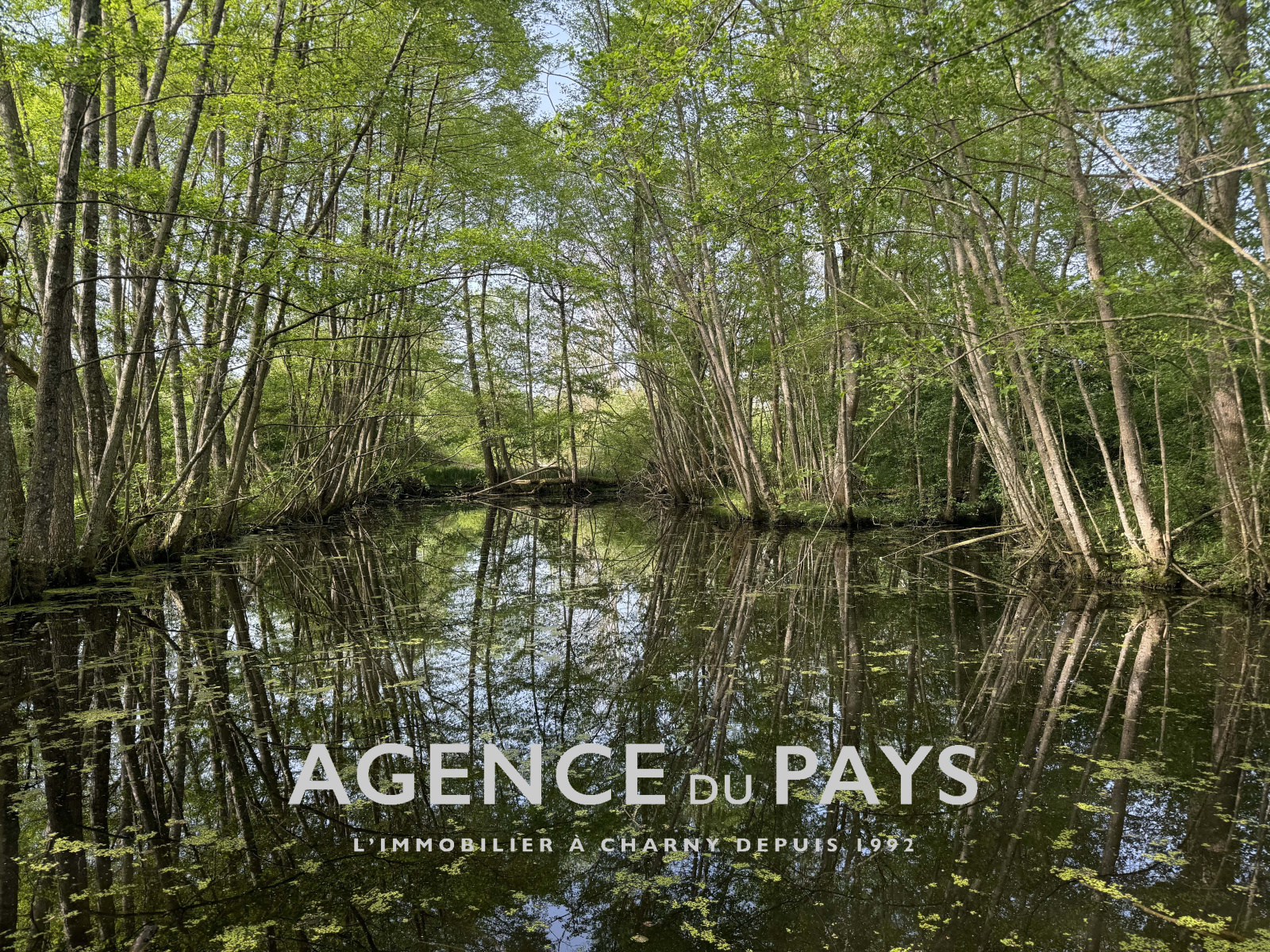Image_1, Maison, Charny-Orée-de-Puisaye, ref :V10004936