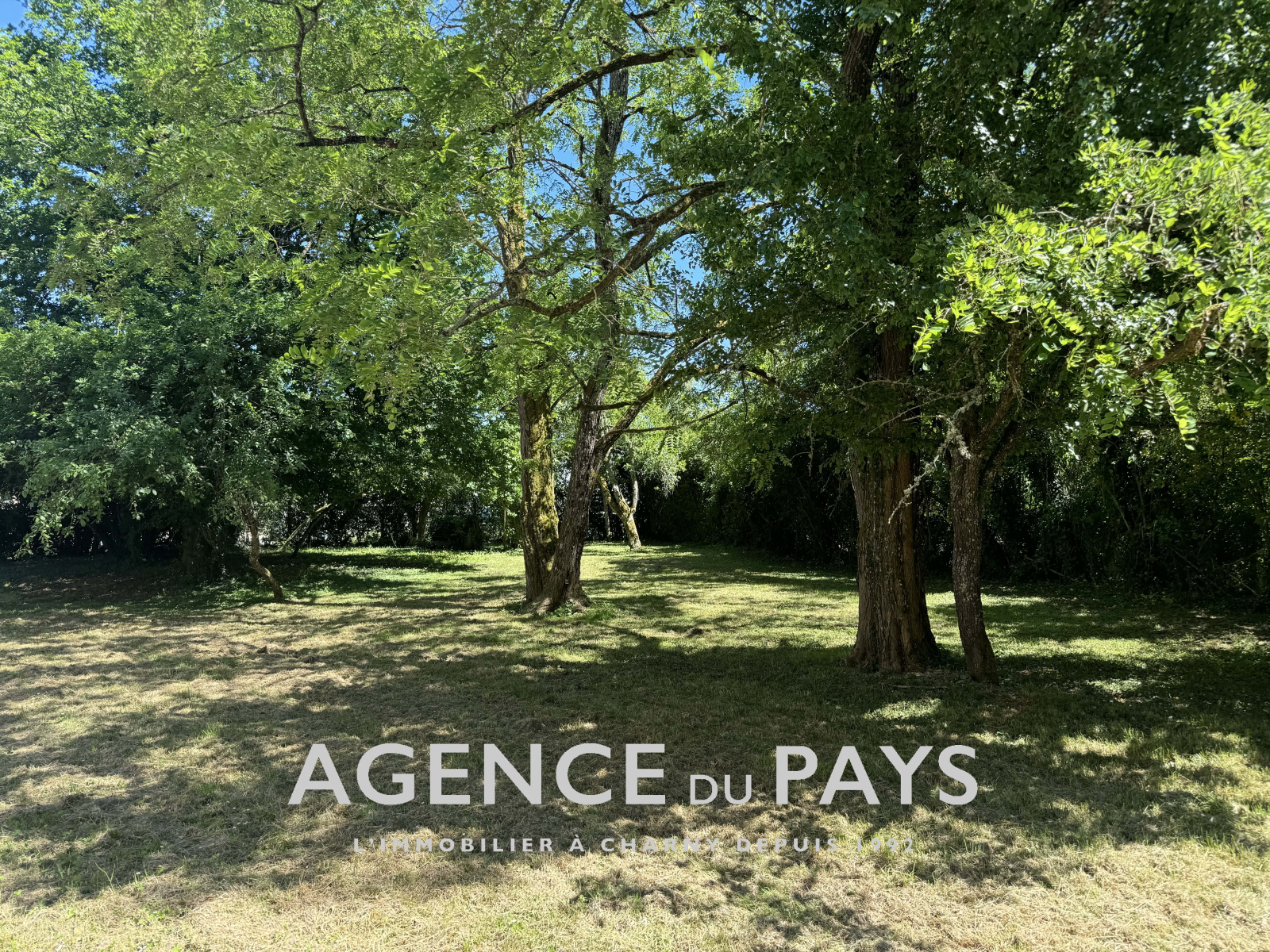 Image_2, Ferme, Cudot, ref :V10004945