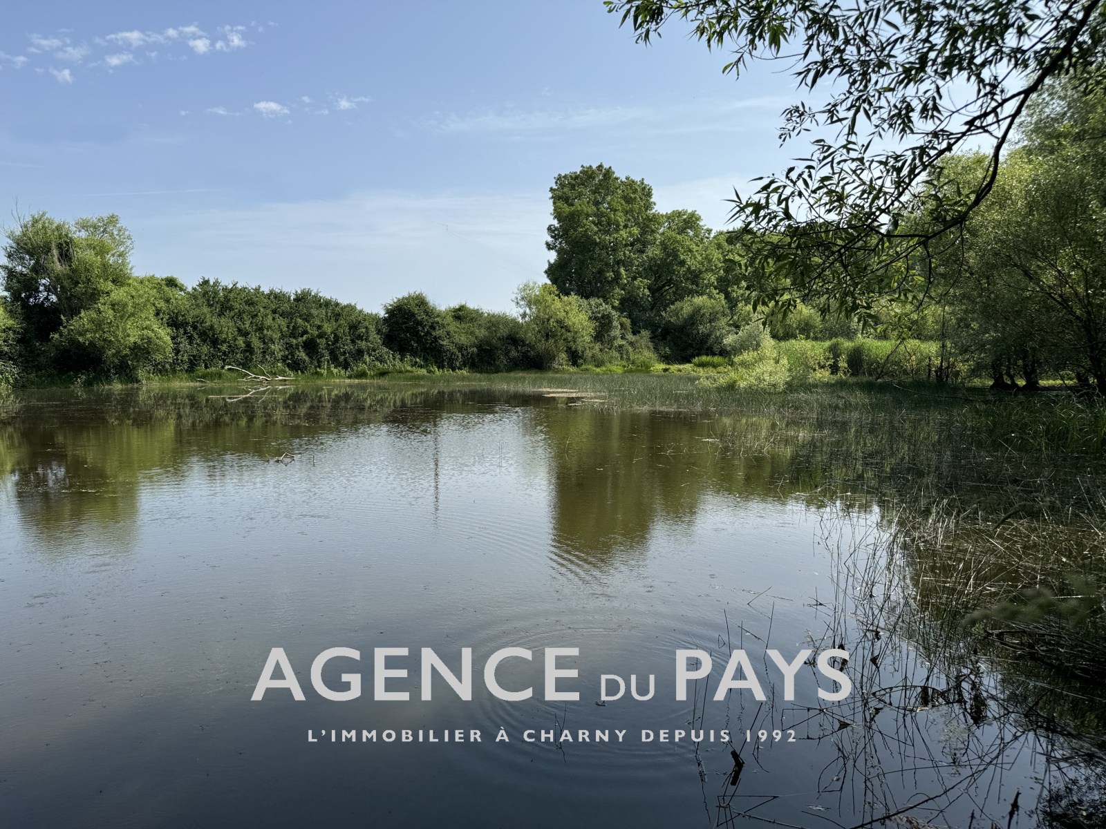 Image_1, Terrain de loisir, Charny-Orée-de-Puisaye, ref :V10004946