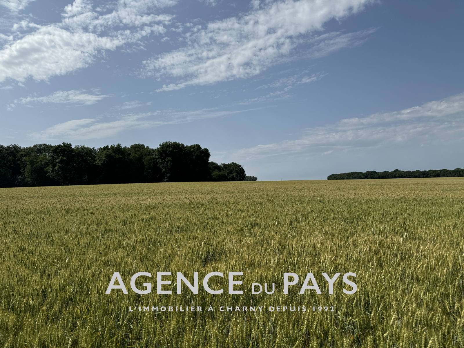 Image_5, Terrain de loisir, Charny-Orée-de-Puisaye, ref :V10004946