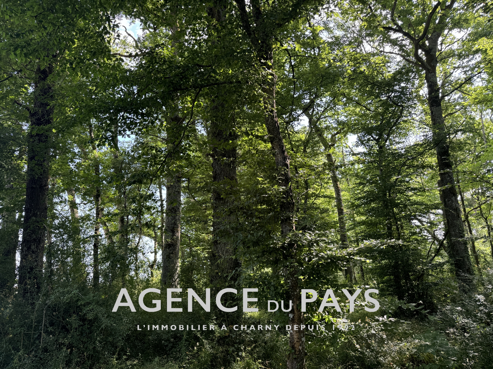 Image_2, Terrain de loisir, Charny-Orée-de-Puisaye, ref :V10004946