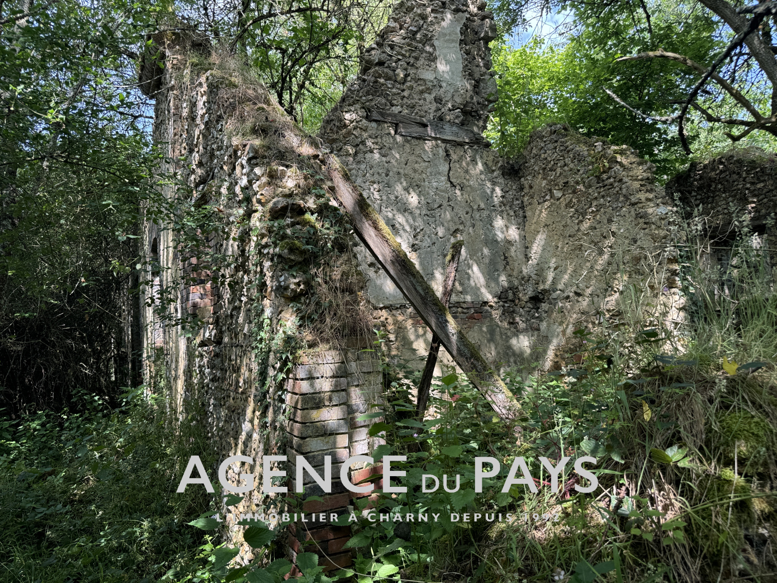 Image_4, Terrain de loisir, Charny-Orée-de-Puisaye, ref :V10004946