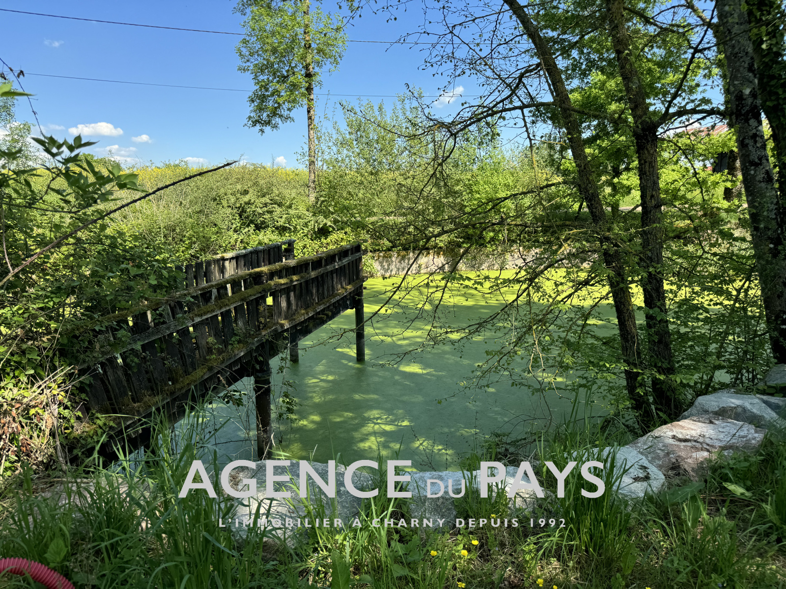 Image_10, Propriete, Charny-Orée-de-Puisaye, ref :V10004962