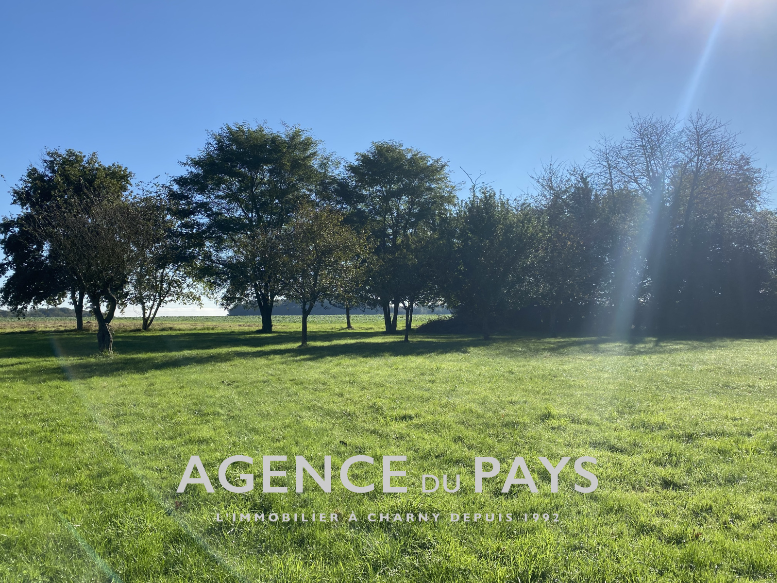 Image_21, Propriete, Charny-Orée-de-Puisaye, ref :V10004886