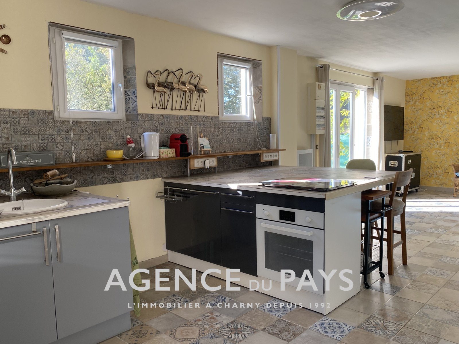 Image_22, Propriete, Charny-Orée-de-Puisaye, ref :V10004886