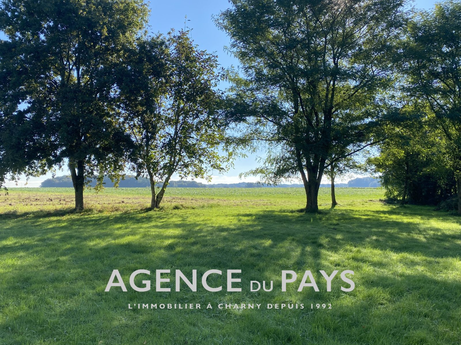 Image_6, Propriete, Charny-Orée-de-Puisaye, ref :V10004886