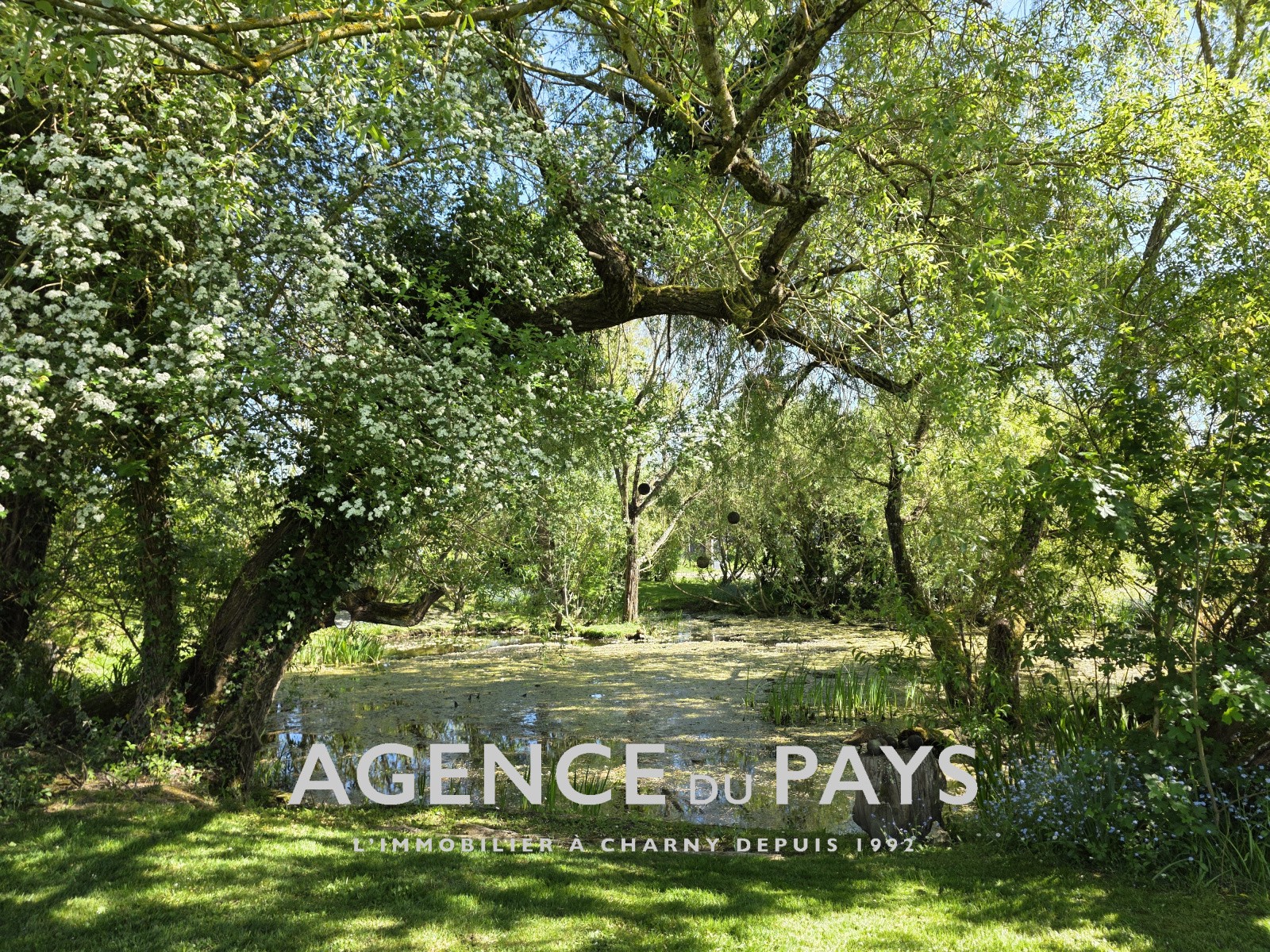 Image_13, Maison, Champcevrais, ref :V10005003