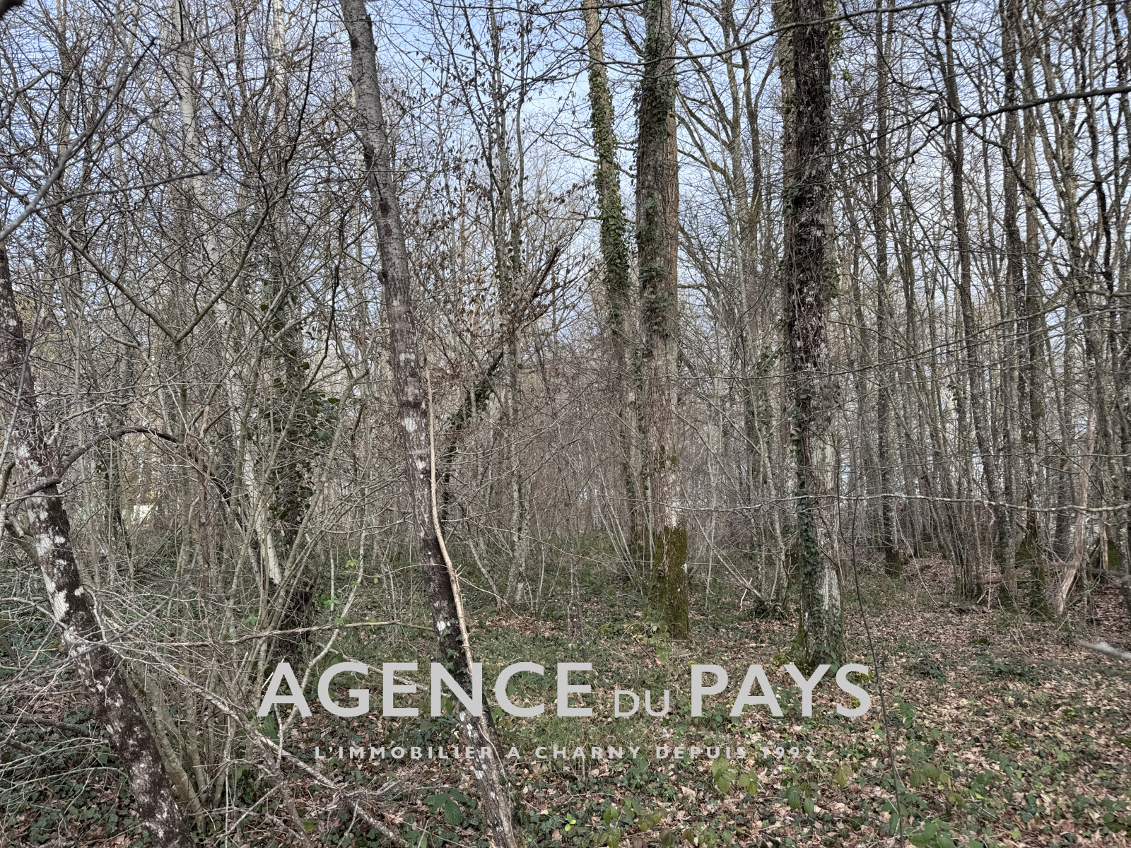 Image_1, Terrain à batir, Sommecaise, ref :V10004987