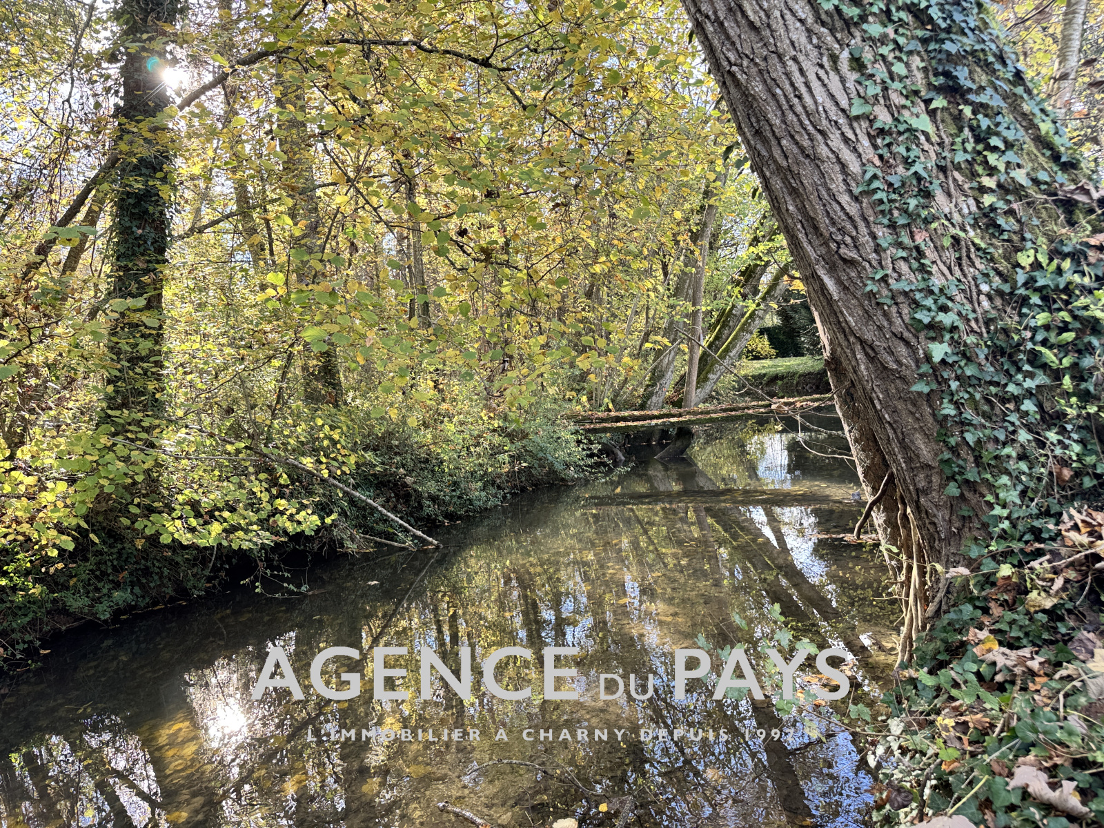 Image_4, Maison, Charny-Orée-de-Puisaye, ref :V10004975